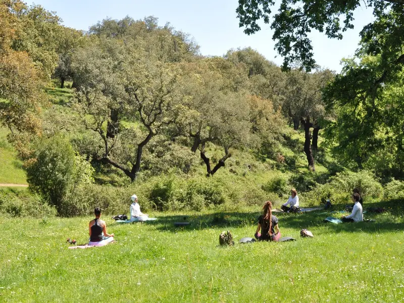 Ecoturismo